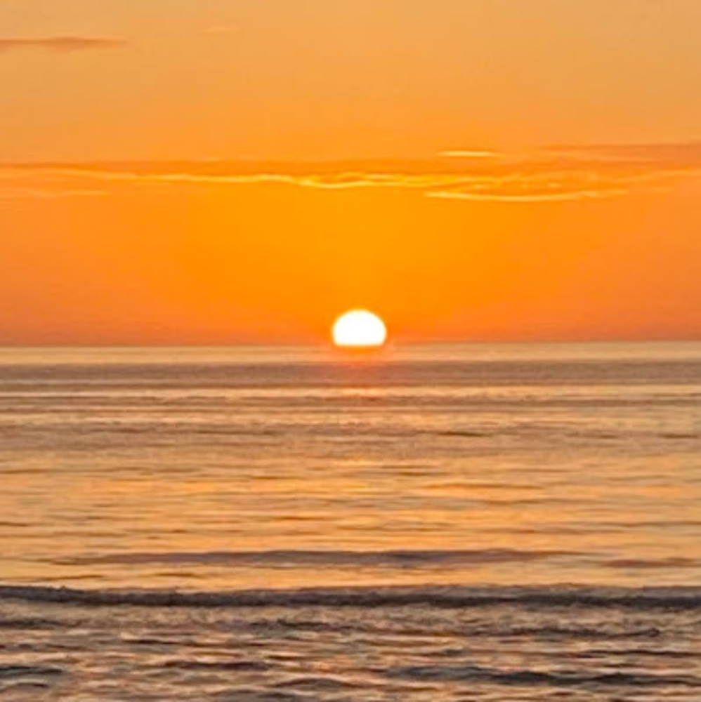 Meet your Posher, Tricia